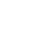 pgspg icon