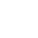 pgspg icon