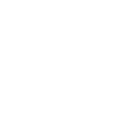 pgspg icon
