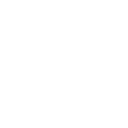 pgspg icon