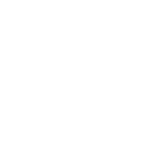 pgspg icon