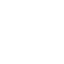 pgspg icon