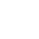 pgspg icon